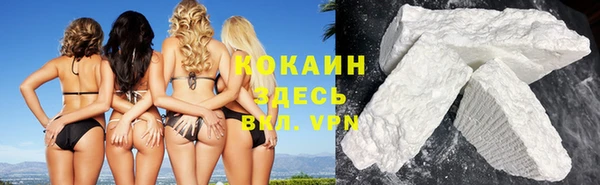 твердый Елизово