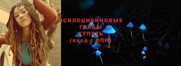 дмт Елабуга