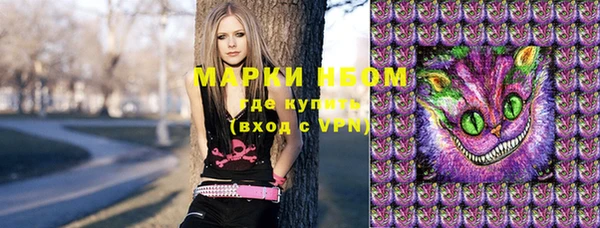 твердый Елизово