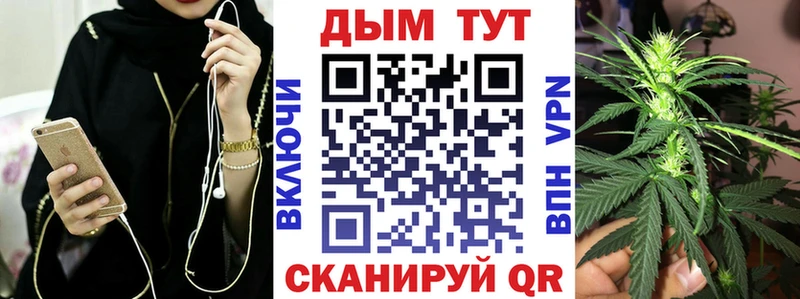 Шишки марихуана сатива  Кизел 